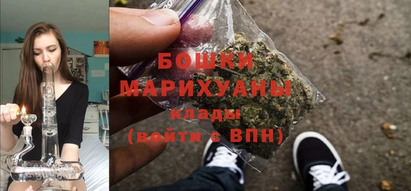 индика Бронницы